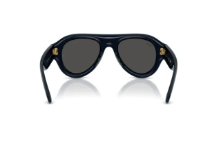 Widok z tyłu Ray-Ban RB4925 (689587)