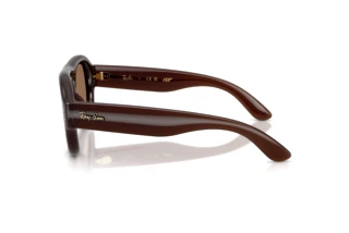 Widok z boku Ray-Ban RB4925 (689673)