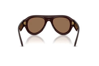 Widok z tyłu Ray-Ban RB4925 (689673)