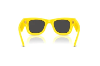 Widok z tyłu Ray-Ban WAYFARER PUFFER (RB4940 - 683087)