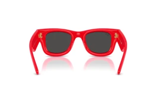 Widok z tyłu Ray-Ban WAYFARER PUFFER (RB4940 - 683187)