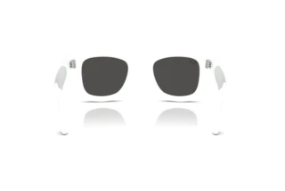 Widok z tyłu Ray-Ban WAYFARER PUFFER (RB4940B - 686387)