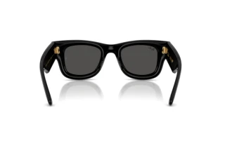 Widok z tyłu Ray-Ban WAYFARER PUFFER (RB4940BP - 686587)