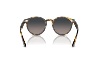Widok z tyłu Ray-Ban LARRY (RB7680S - 1332GL)
