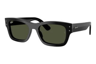 Widok z przodu Ray-Ban JOSEPH (RB7683S - 901/31)