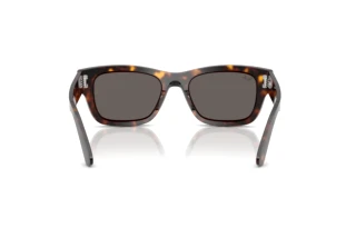 Widok z tyłu Ray-Ban JOSEPH (RB7683S - 902/B1)
