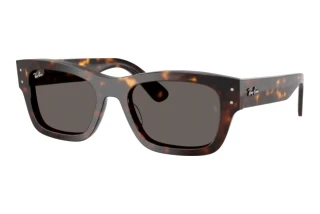 Widok z przodu Ray-Ban JOSEPH (RB7683S - 902/B1)