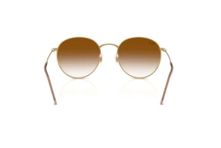 Widok z tyłu Ray-Ban ROUND REVERSE (RBR0103S - 001/CB)