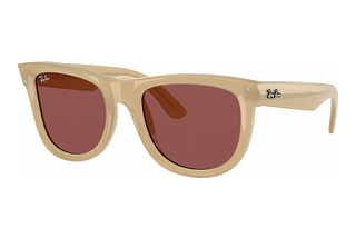 Ray-Ban RBR0502S 678069