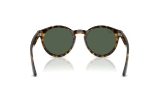 Widok z tyłu Ray-Ban RBR0505S (6790VR)
