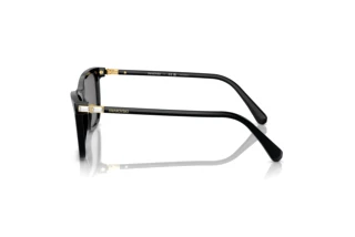 Widok z boku Swarovski SK6004 (100181)