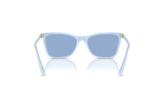 Widok z tyłu Swarovski SK6004 (10061U)