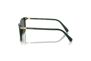 Widok z boku Swarovski SK6004 (102687)