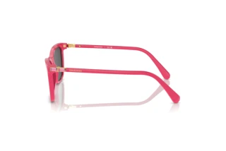 Widok z boku Swarovski SK6004 (103687)