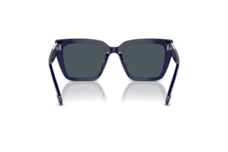 Widok z tyłu Swarovski SK6013 (101887)