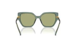 Widok z tyłu Swarovski SK6016 (104382)