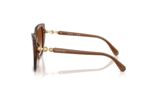 Widok z boku Swarovski SK6016 (106713)