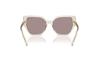 Widok z tyłu Swarovski SK6016 (3003LA)
