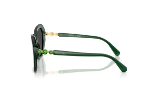 Widok z boku Swarovski SK6017 (104587)