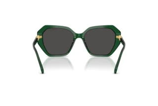 Widok z tyłu Swarovski SK6017 (104587)