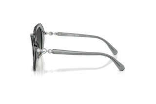 Widok z boku Swarovski SK6017 (106211)