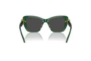 Widok z tyłu Swarovski SK6018 (104587)