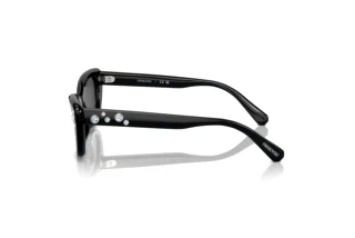 Widok z boku Swarovski SK6019 (100187)