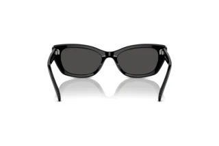 Widok z tyłu Swarovski SK6019 (100187)