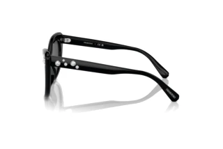 Widok z boku Swarovski SK6020 (100187)