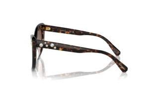Widok z boku Swarovski SK6020 (100213)
