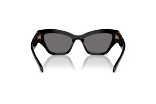 Widok z tyłu Swarovski SK6021 (100181)