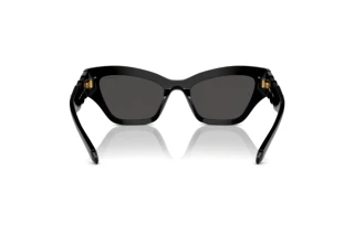 Widok z tyłu Swarovski SK6021 (100187)