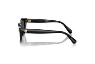 Widok z boku Swarovski SK6025 (100187)