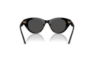 Widok z tyłu Swarovski SK6025 (100187)