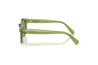 Widok z boku Swarovski SK6025 (3002/2)