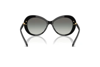 Widok z tyłu Swarovski SK6026 (100111)