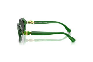 Widok z boku Swarovski SK6028 (106487)