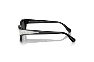 Widok z boku Swarovski SK6029 (100187)