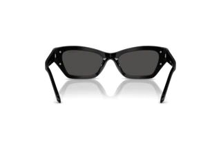 Widok z tyłu Swarovski SK6029 (100187)