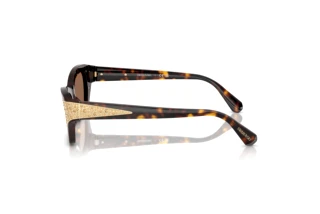 Widok z boku Swarovski SK6029 (100273)