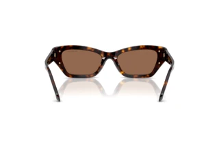 Widok z tyłu Swarovski SK6029 (100273)