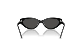 Widok z tyłu Swarovski SK6030 (100187)