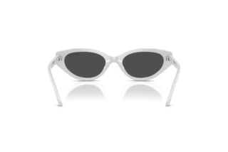 Widok z tyłu Swarovski SK6030 (106087)