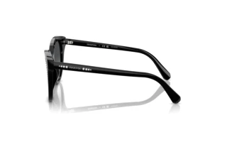 Widok z boku Swarovski SK6031 (1001T3)