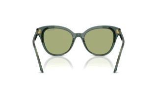 Widok z tyłu Swarovski SK6031 (104382)