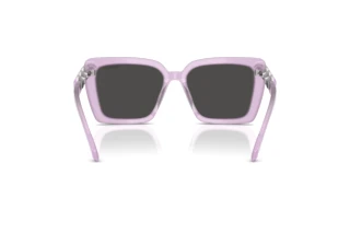 Widok z tyłu Swarovski SK6032 (107587)
