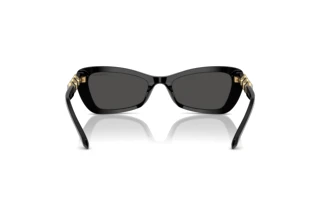 Widok z tyłu Swarovski SK6033 (100187)
