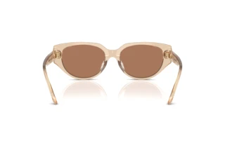 Widok z tyłu Swarovski SK6035D (106673)