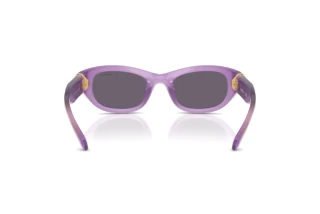 Widok z tyłu Swarovski SK6036U (10751A)