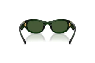 Widok z tyłu Swarovski SK6036U (108171)